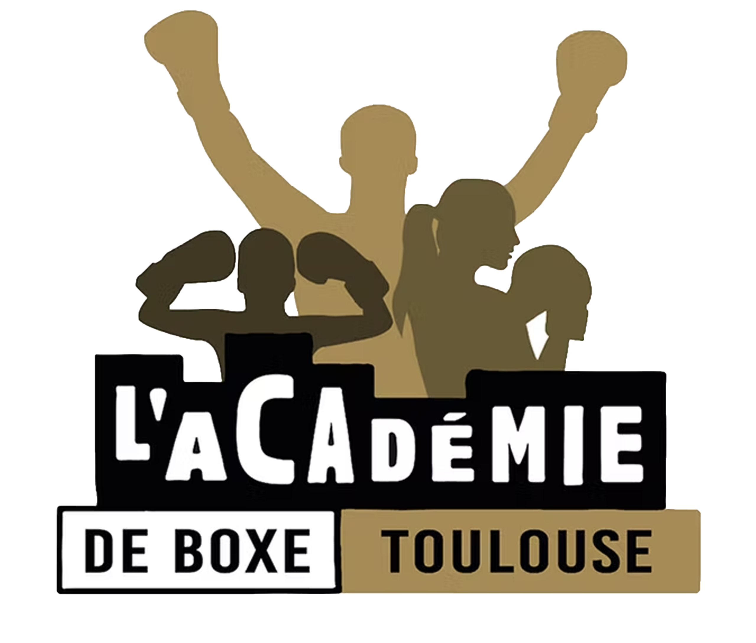 Logo academie boxe toulouse