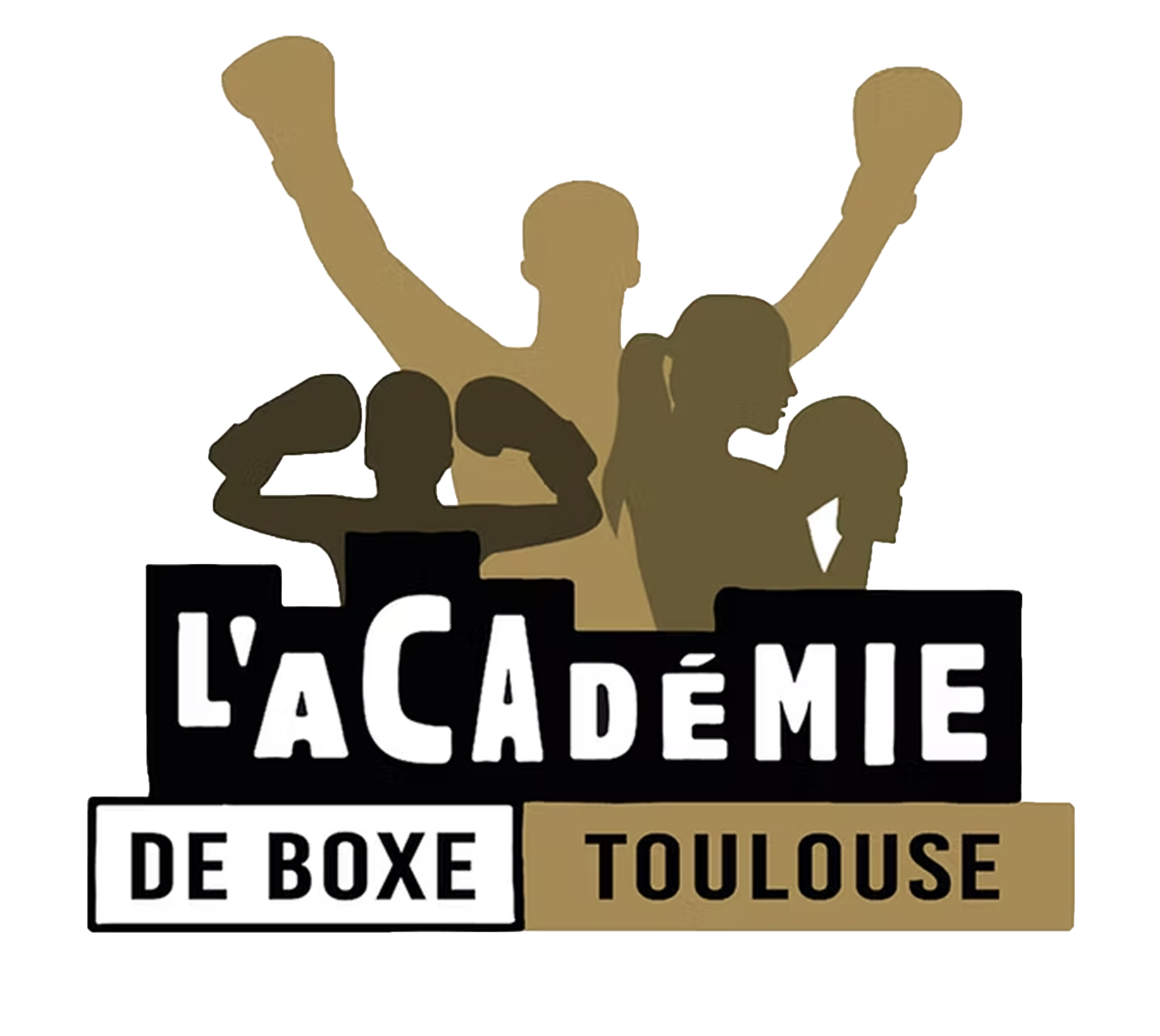 Logo academie boxe toulouse